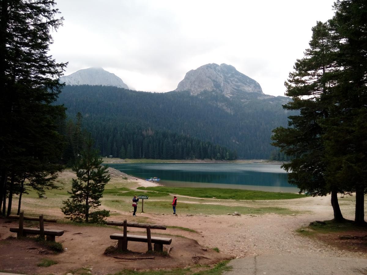 Apartment Mountain Dream Žabljak 外观 照片