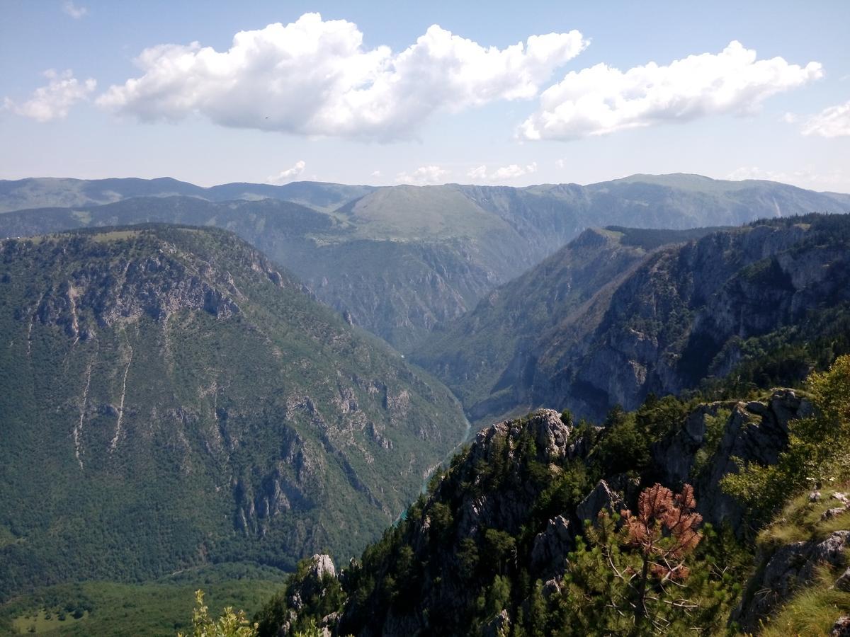 Apartment Mountain Dream Žabljak 外观 照片